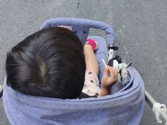 -火炉山森林公园