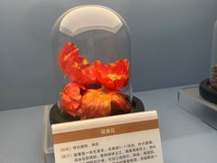 -岳阳市博物馆