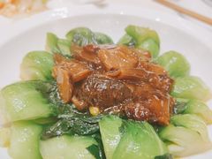 花菇菜心-得月楼·省级非遗·传统苏帮菜(观前店)