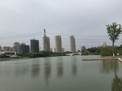 -九里河湿地公园