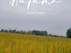 -中国天府农业博览园