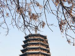 -石家庄正定国际机场-T2航站楼