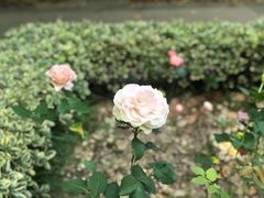 -苏州河梦清园环保主题公园