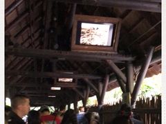 -奥兰多迪士尼动物王国乐园