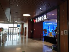-卢米埃影城(住总万科杜比全景声激光店)