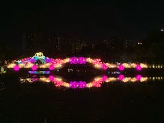 -映月湖公园