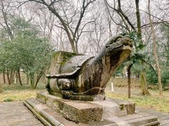-灵谷景区