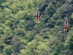 -梦幻奥陶纪景区