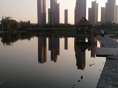 -前关湿地公园