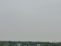 -盐城丹顶鹤湿地生态旅游区