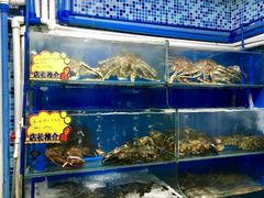 -蚝专家(北滘店)