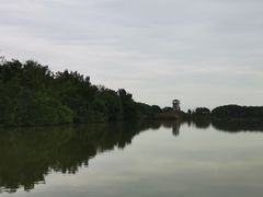 -大湾区中央湿地公园