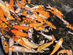 -泉州海丝野生动物世界