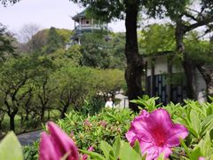 -无锡梅园公园