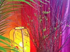 -蘑菇私房菜小馆(杨家坪西城天街店)