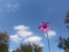 -映月湖中央公园