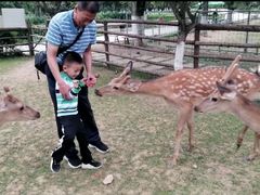 -秀丽东方