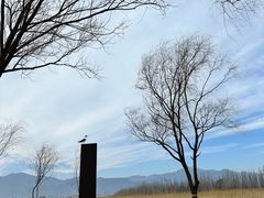 -野鸭湖国家湿地公园