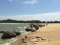 -瑶湖郊野森林公园