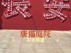 -唐猫庭院·千年陕菜(大唐不夜城店)