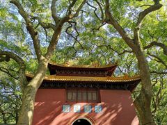 -普陀山风景名胜区-法雨禅寺