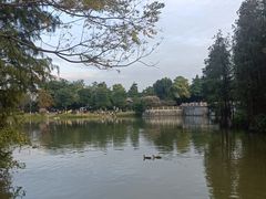 -海珠湖公园