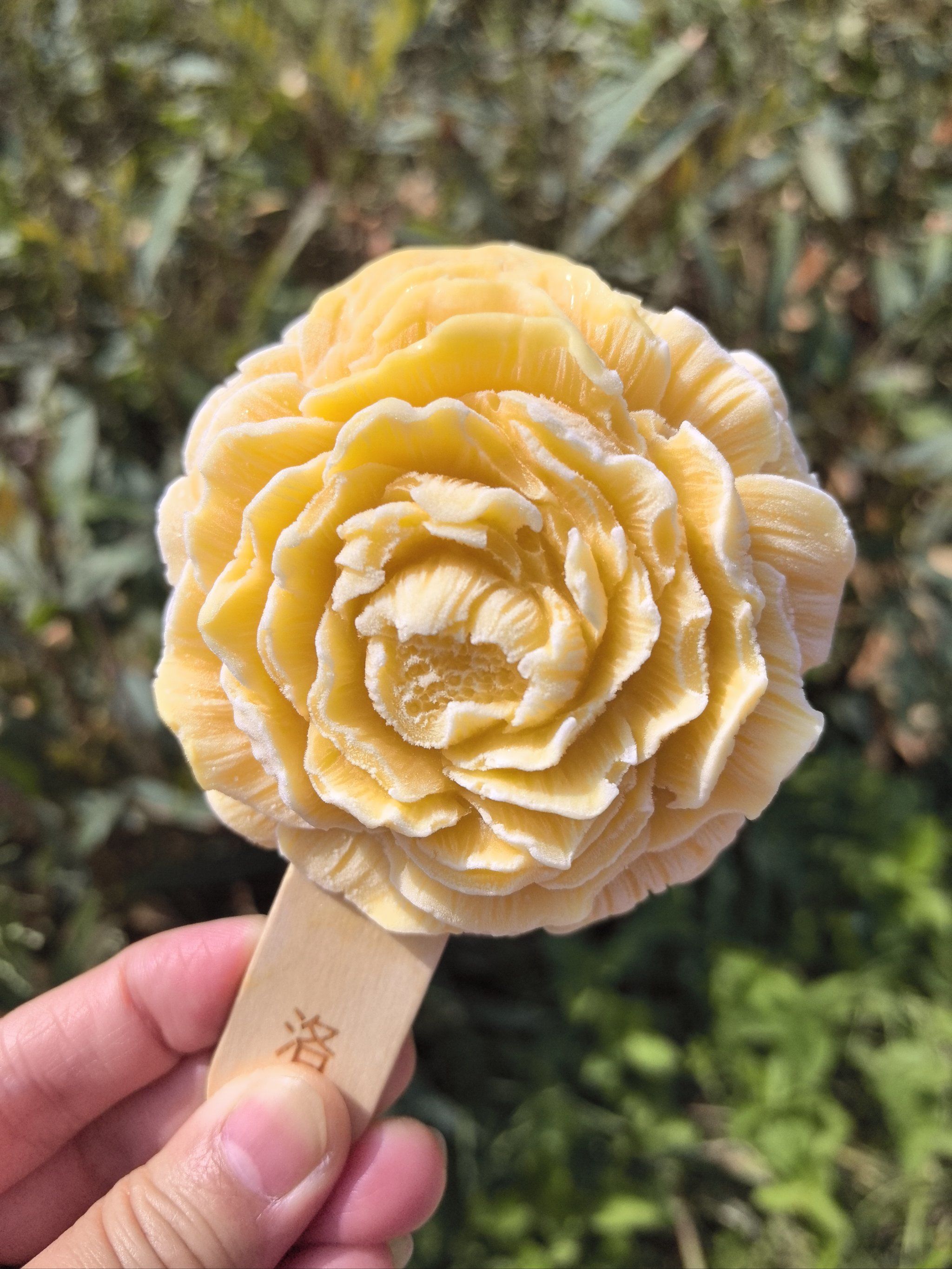 牡丹雪糕!逼真吧?味道也好