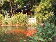 -国恩寺