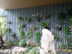-云溪植物园
