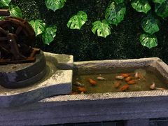-穿越·兴化早茶·兴化味(英武路店)