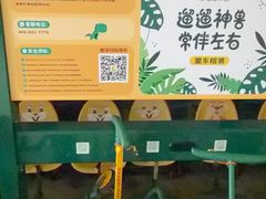 -泉州海丝野生动物世界