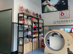 -伟伟宠物医院·瑞派猫友好医院·猫科(光谷店)