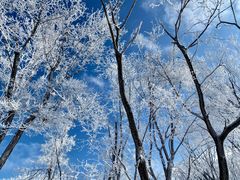 -中旅松花湖滑雪场