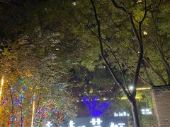 -绿地·中山里