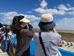 -南汇嘴观海公园