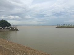 -大湾区中央湿地公园-十九涌