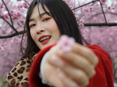 -白塘生态植物园
