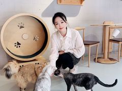 -豆逗聊愈猫阁Easy Life