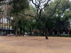 -汇龙潭