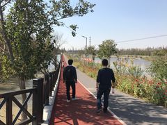 -上海长兴岛郊野公园