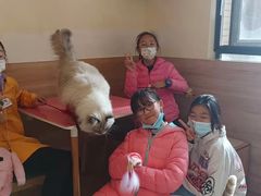 -滚猫咖啡·猫咖·猫友好撸猫(未来城店)
