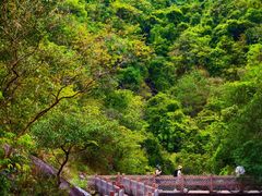 -广州白江湖森林公园