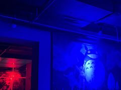 -北京目的地酒吧