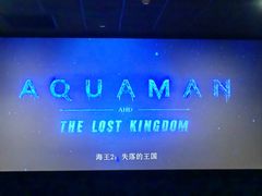 -SFC上影百联影城(八佰伴IMAX店)