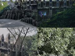 -青岛森林野生动物世界