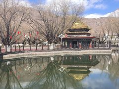 -罗布林卡