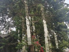 -三溪村