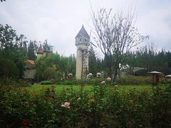 -东平国家森林公园