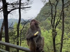 -黔灵山公园
