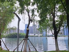 -天鹅湖体育公园